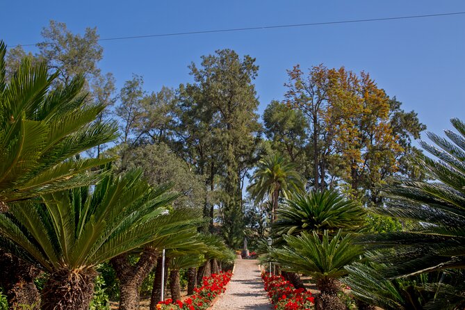 Live an Experience Among Orange Trees in Huerto Ribera - Timing, group size, and how to plan your afternoon
