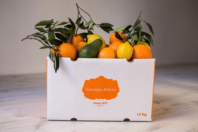 Live an Experience Among Orange Trees in Huerto Ribera - What could be a drawback for some people