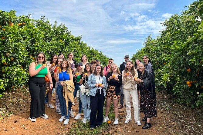 Live an Experience Among Orange Trees in Huerto Ribera - Walking rows of oranges: the citrus lessons that connect to taste