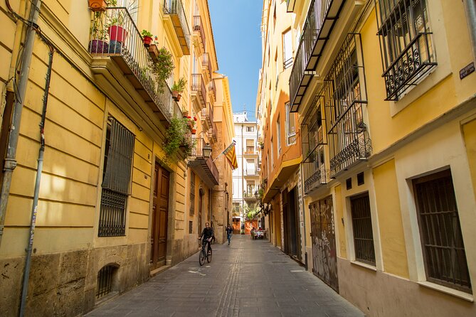 PRIVATE Walking Tour Historical Center with Local Expert - Meeting at Valencia Cathedral, then getting oriented fast