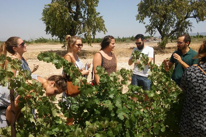 Private Wine Tour with Wine Tasting and Full Lunch (day trip) - Key things to know before you go