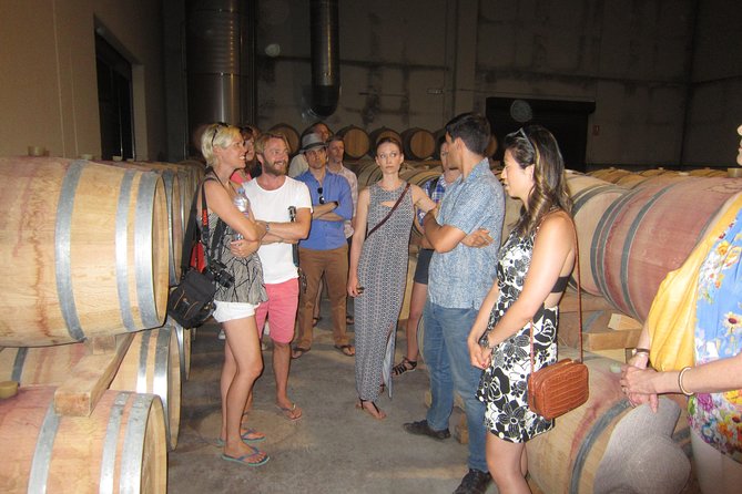 Private Wine Tour with Wine Tasting and Full Lunch (day trip) - Why Utiel-Requena makes sense from Valencia