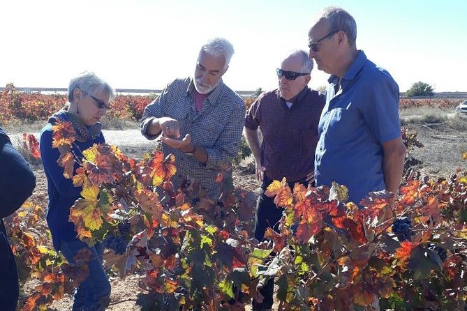 Private Wine Tour with Wine Tasting and Full Lunch (day trip) - Stop 2: Bodega Vera de Estenas, a family-run 19th-century winery