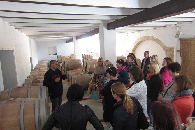 Private Wine Tour with Wine Tasting and Full Lunch (day trip) - Who this tour is best for in Valencia