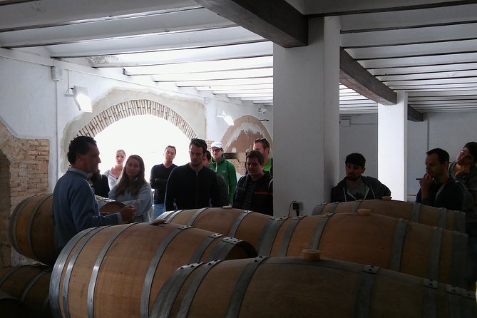 Private Wineries Tour from Valencia (morning tour) - Getting there in comfort: pickup, the private van, and your first stop