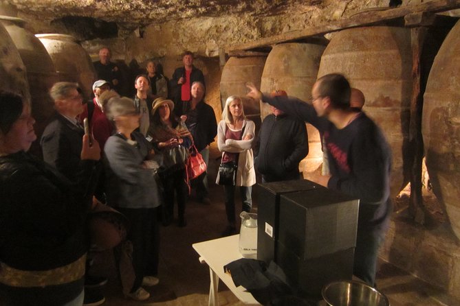 Private Wineries Tour from Valencia (morning tour) - What to bring, and what to expect during the 4.5-hour day