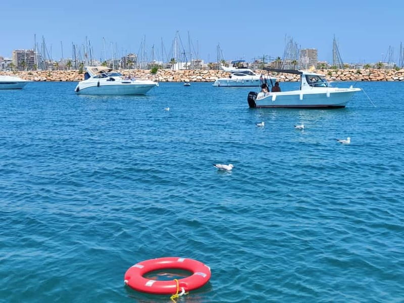 Sailing with sunset and swim in the sea - Los Náufragos Beach: the open-sea perspective you cannot fake