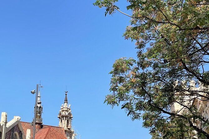 Savor Spain: Your Ultimate Tapas Tour Guide - Who This Tour Fits Best (and Who Should Skip It)