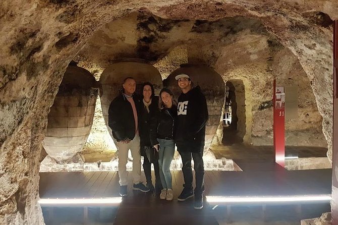Singular Valencia Wine Tour Utiel Requena Wineries - Key highlights you can plan around