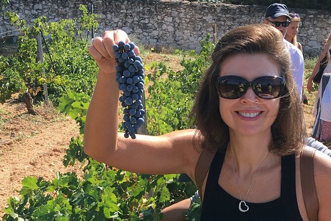 Singular Valencia Wine Tour Utiel Requena Wineries - Who this Utiel Requena wine tour is best for