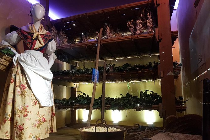 Skip the Line: Valencia Silk Museum Ticket Entrance - Price and value: is $10.81 worth it?