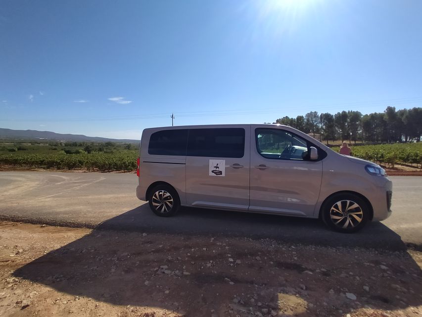 Small-Group Wine Tour from Valencia with Tastings Max 7 - Key highlights you will actually feel