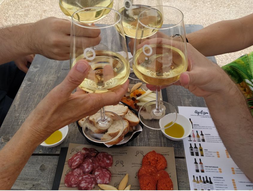 Small-Group Wine Tour from Valencia with Tastings Max 7 - Transportation and pacing: why the van timing feels right