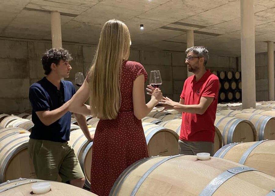 Small-Group Wine Tour from Valencia with Tastings Max 7 - Murviedro - Bodega Histórica, where wine once lived underground