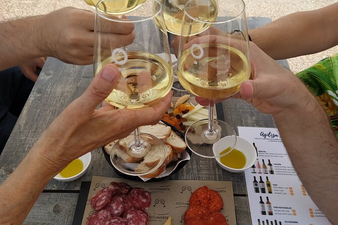 Small-Group Wine Tour with Local Expert (7 max) - Key things you will notice on this Requena wine day