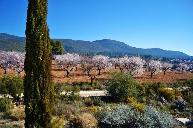 Small-Group Wine Tour with Local Expert (7 max) - Price and value: is $168.20 fair for 5.5 hours?