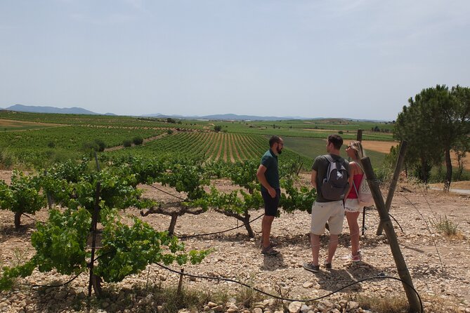 Tapas in the vineyards - Who this fits best, and when you might want a different plan