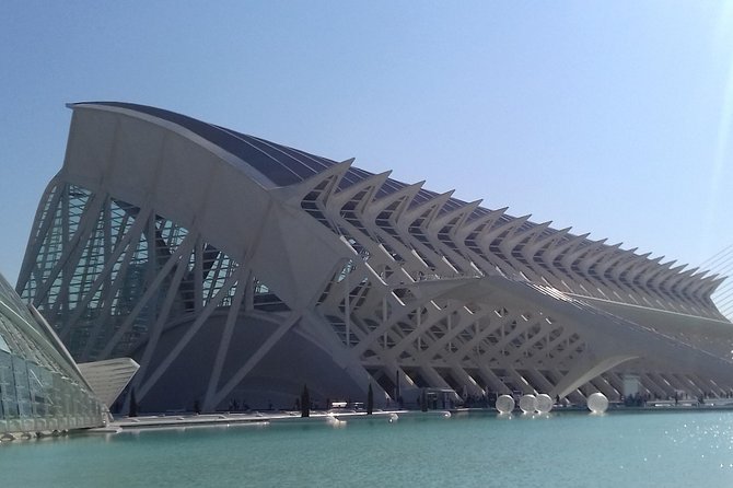 The City of Arts and Sciences in Valencia - Where to meet: the Tesla Destination Charger spot