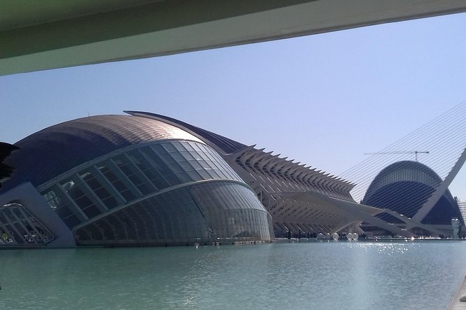 The City of Arts and Sciences in Valencia - Stop 3: Palacio de las Artes Reina Sofia, opera-house beauty from the outside