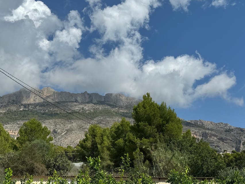 The Magnificent 7 day trip - Value check: why this $29 price works if it matches your style