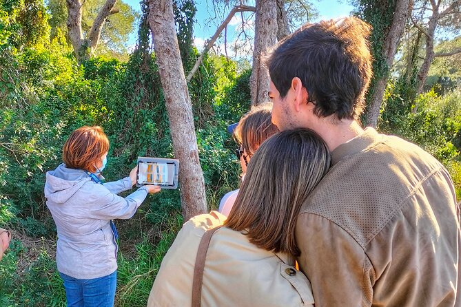 The Original Albufera Tour: Barraca, Boat Ride & Local Guide - Quick hits before you go