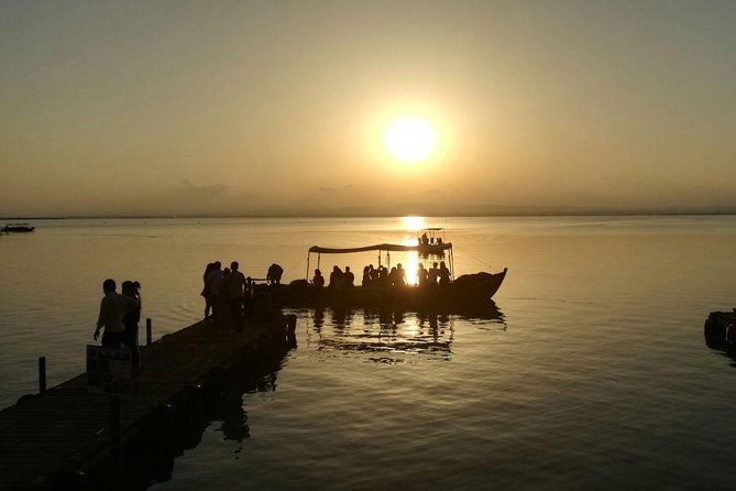 The Original Albufera Tour: Barraca, Boat Ride & Local Guide - El Palmar, fishing roots, and a boat look from the island