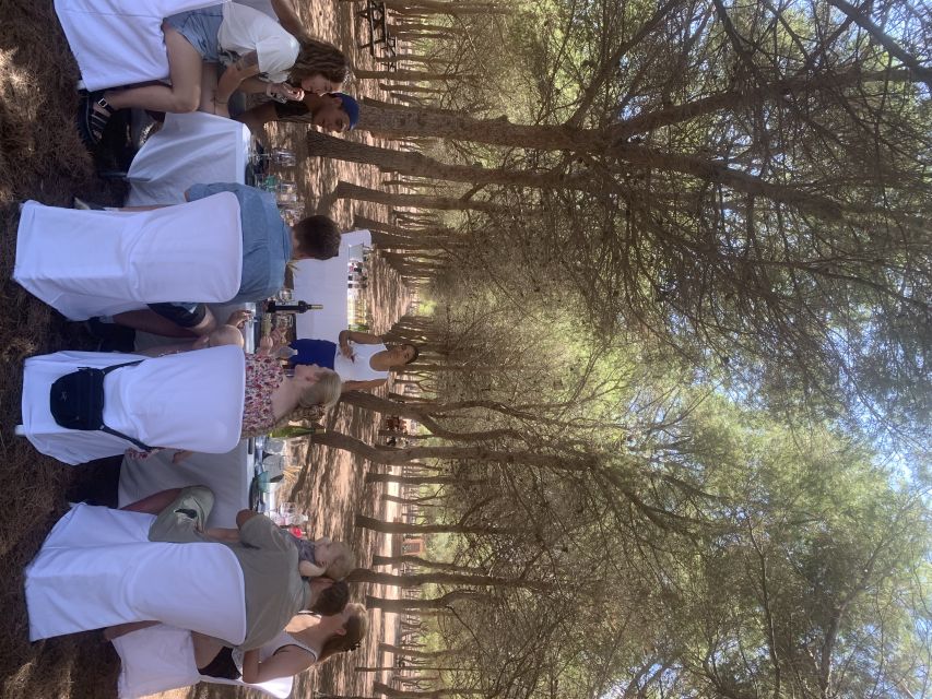 Torrevieja: Local Wine and Food Tasting Tour in La Mata Park - La Mata Nature Park Walk: Lagoons, Birds, and a 15th-Century Corner