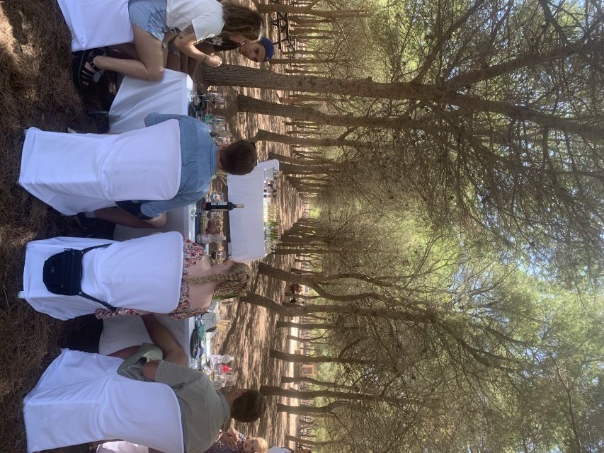 Torrevieja: Local Wine and Food Tasting Tour in La Mata Park - Vineyard Route Pacing: What the 3-Hour Format Really Feels Like