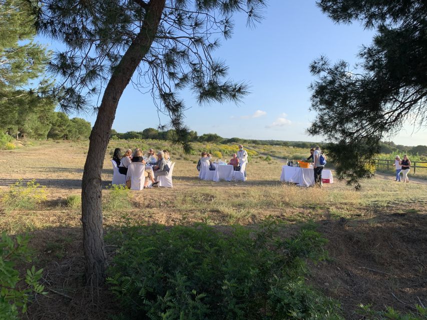Torrevieja: Local Wine and Food Tasting Tour in La Mata Park - Olive Oil, Homemade Goat Cheese, and Tapas: The Local Plate Behind the Wine