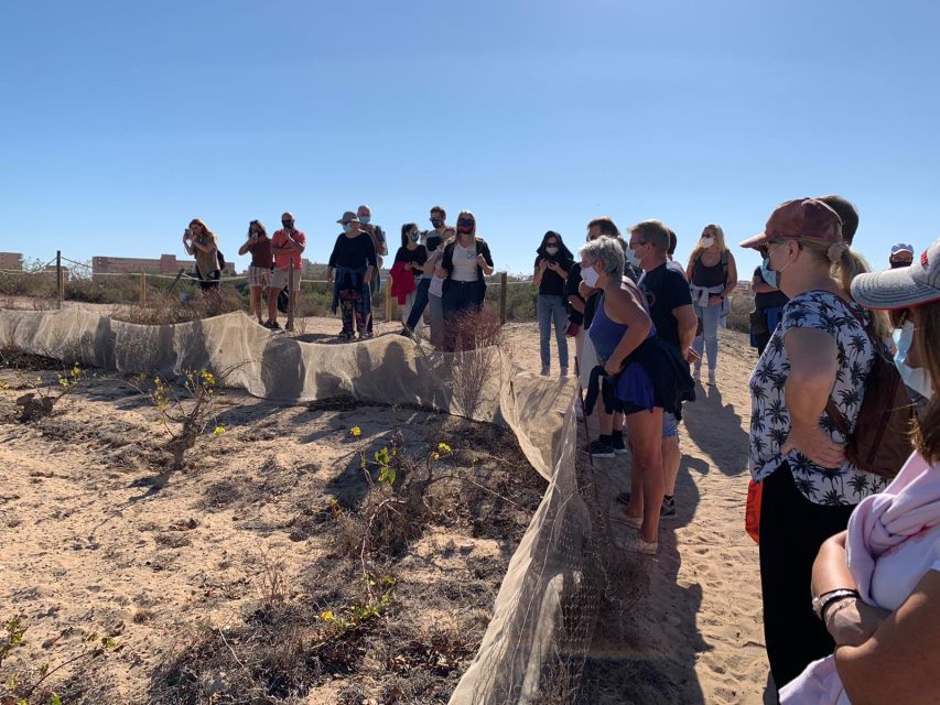 Torrevieja: Local Wine and Food Tasting Tour in La Mata Park - Practical Logistics: Meeting Point, Timing, and Languages