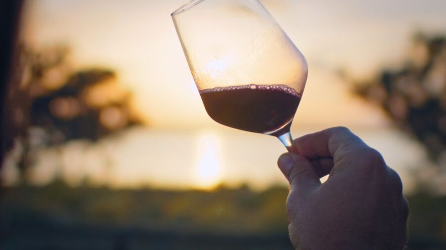 Torrevieja: Local Wine and Food Tasting Tour in La Mata Park - The Tasting Setup in the Park: Organic DO Alicante Wines, Proper Pairing