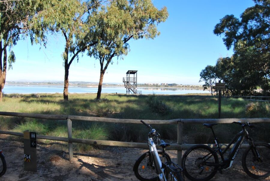 Torrevieja: Natural Parks e-Bike Tour - Key Highlights I’d Prioritize