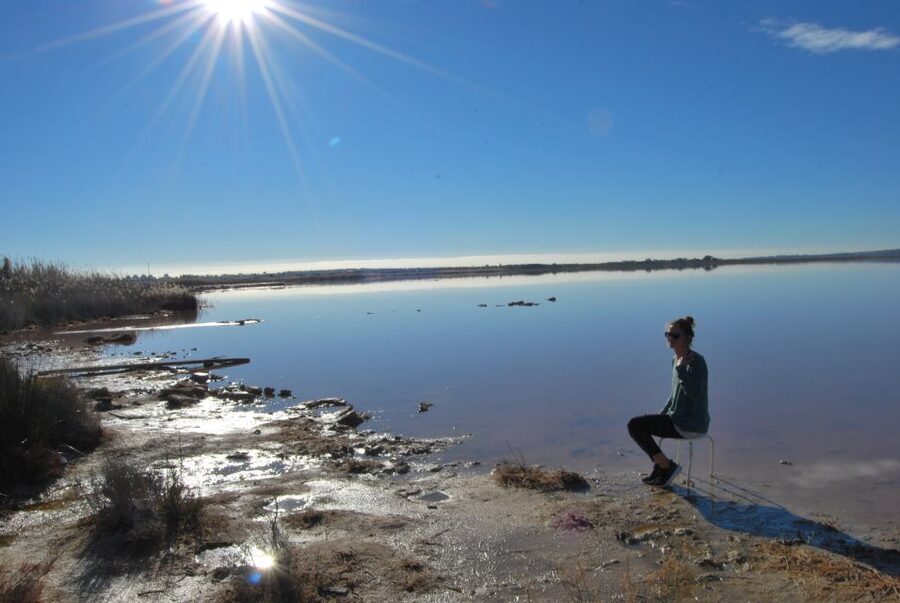 Torrevieja: Natural Parks e-Bike Tour - Laguna Rosa: why the pink salt flats are the star attraction