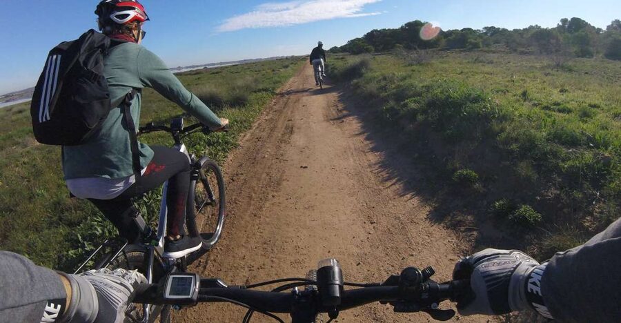 Torrevieja: Natural Parks e-Bike Tour - Torrevieja on two wheels: sights, scenic passes, and wildlife time