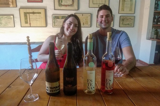 Two wineries tour with wine tasting - What You Learn During the Vinification and Fermentation Talk