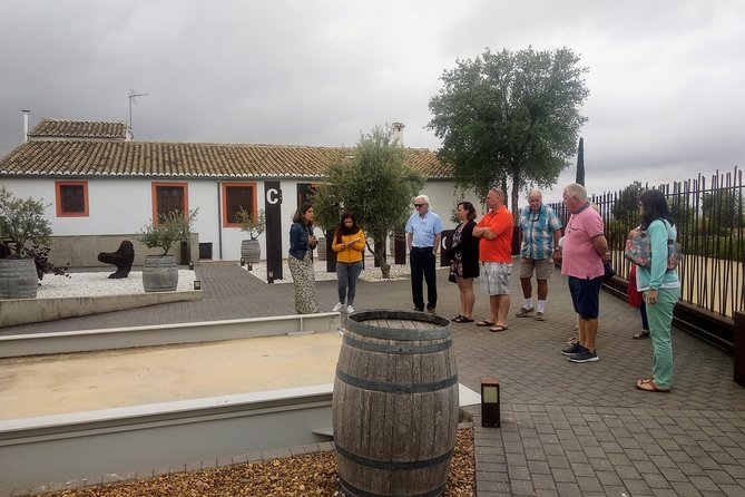 Two wineries tour with wine tasting - Snacking, Tapas, and Pairing With What You Taste