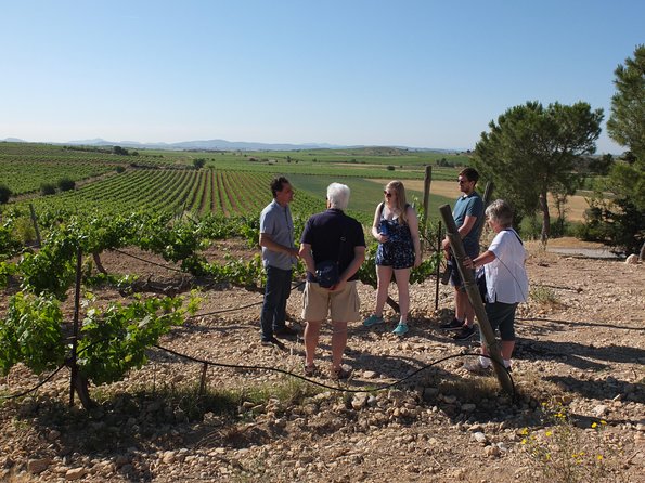 Two wineries tour with wine tasting - Guide Energy and the Small-Group Advantage