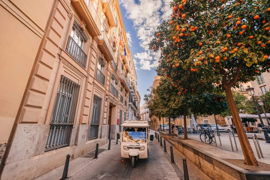 Valencia 1 hour by TukTuki: Essential and Private Tour - Malvarrosa and Las Arenas Beaches: Two Beach Feels Without Losing Your Day