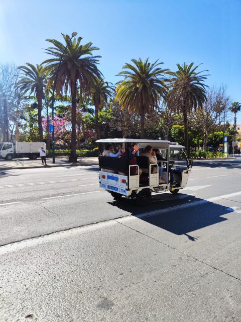 Valencia: 2-hour City Highlights Guided Tuk-Tuk Tour - Markets And Bullring Stops That Give You Texture