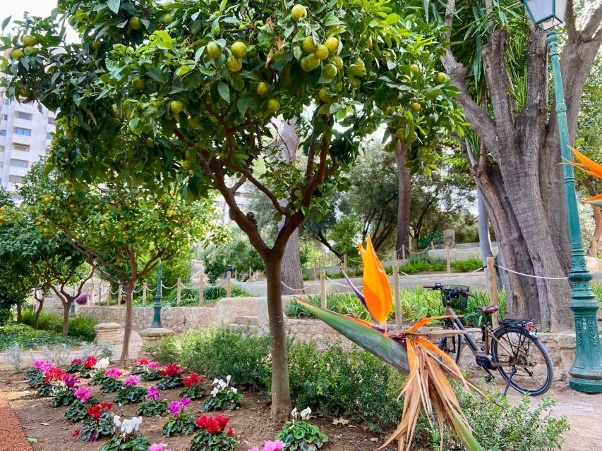 Valencia: 2-in-1 Biking and Walking Audio-Guided Route - Practical Tips That Prevent Most Problems