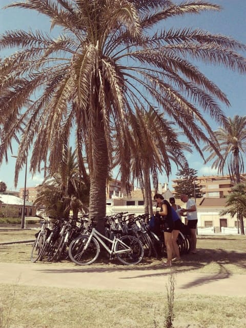 Valencia: 3-Hour City Bike Tour - Guides, Bikes, and Helmets: What You Actually Get