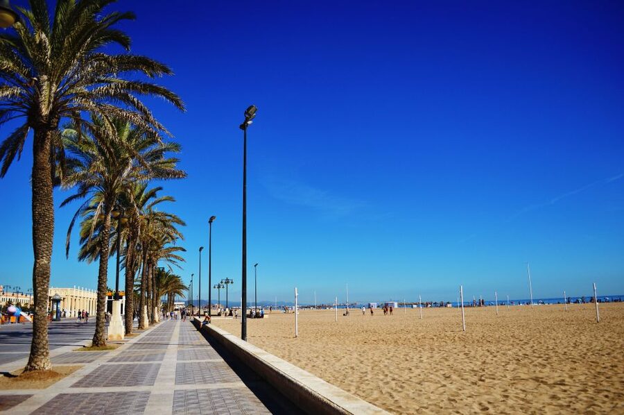 Valencia: 3-Hour Guided City Sightseeing & Beaches Bike Tour - A Flat 3-Hour Rhythm Through Valencia’s Historic Center