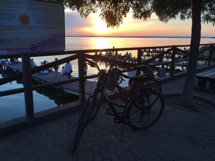 Valencia: Albufera Natural Park Bike and Boat Tour - The Albufera boat: birds, rice irrigation, and the Albuferenc ride