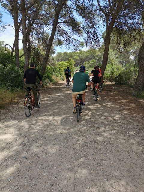 Valencia: Albufera Natural Park Bike and Boat Tour - Who should book the Albufera bike and boat tour