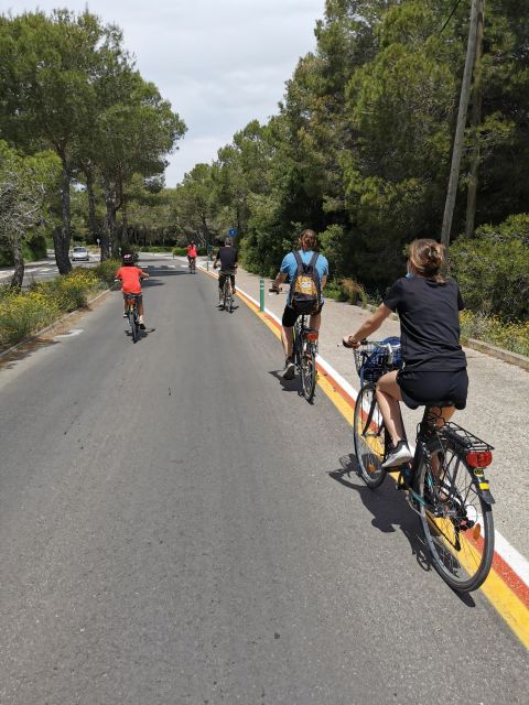 Valencia: Albufera Natural Park Bike and Boat Tour - Should you book it? My quick decision guide