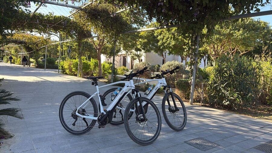 Valencia all in one: beaches, old town & city arts by E-bike - Why Valencia clicks on an e-bike