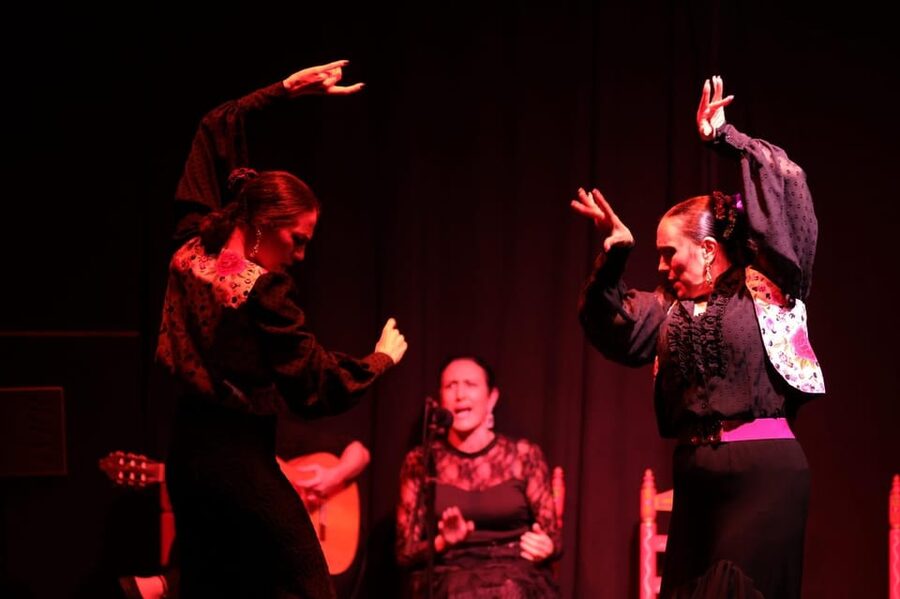 Valencia: Authentic Flamenco Show Entry Ticket - Price and value: why this $23 ticket can feel like a smart night out