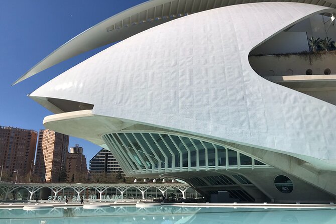 Valencia Bike Tour: Top Sights and City of Arts & Sciences - Jardi del Turia: Roman ruins, tropical plants, and Gulliver Park fun