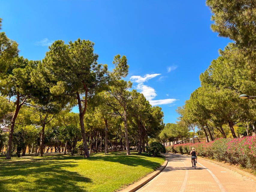 Valencia Bike Tours: City Highlights - City of Arts and Sciences: Futuristic Architecture, Same 3-Hour Budget