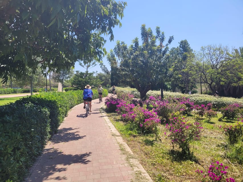 Valencia, Biketour of all the city with a local guide - Key things to love about this Valencia bike tour